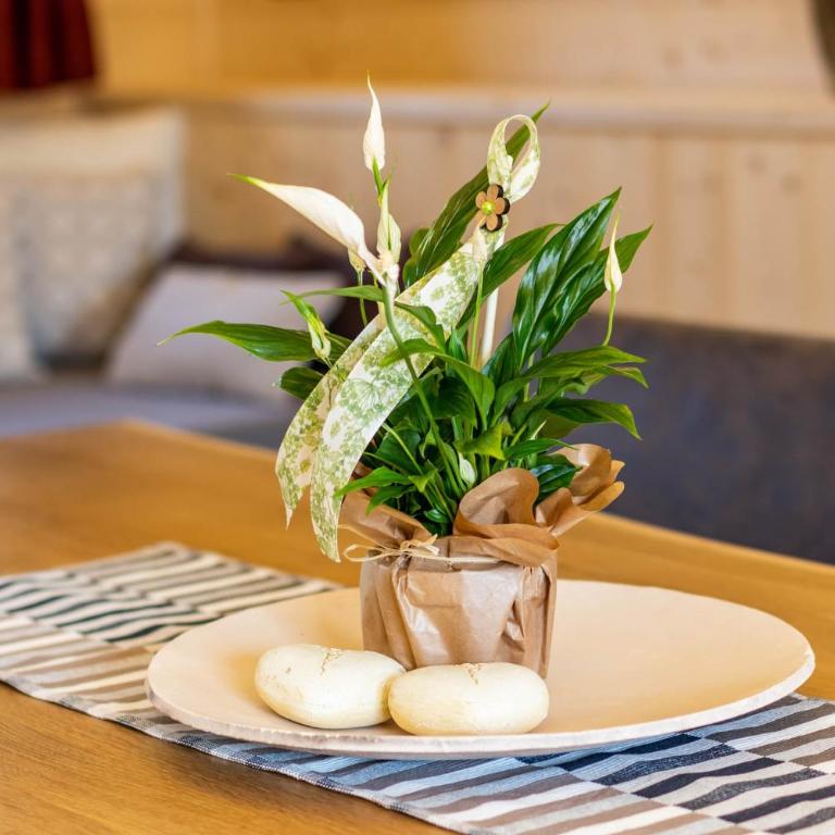 STAUDACH - Alpinresidenz Zillertal - Chalet - 18