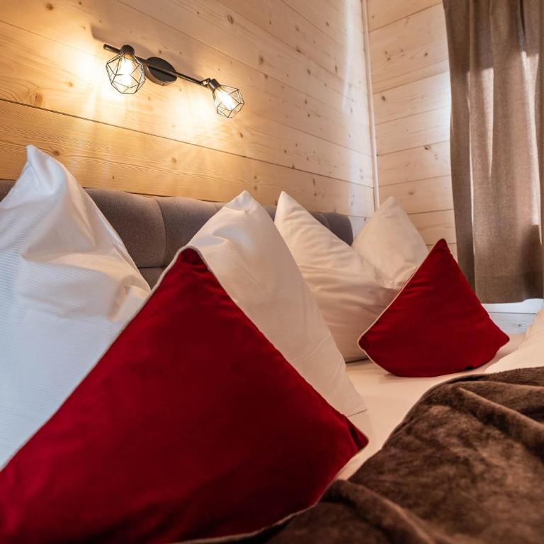 STAUDACH - Alpinresidenz Zillertal - Chalet - 66