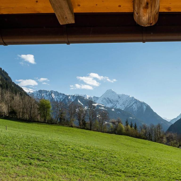 STAUDACH - Alpinresidenz Zillertal - Chalet - 48