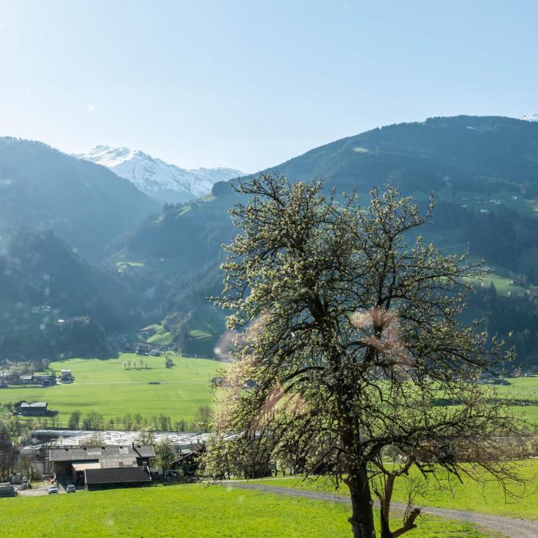 STAUDACH - Alpinresidenz Zillertal - Chalet - 52