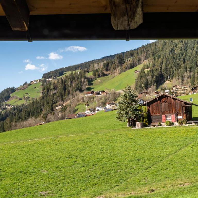 STAUDACH - Alpinresidenz Zillertal - Chalet - 63