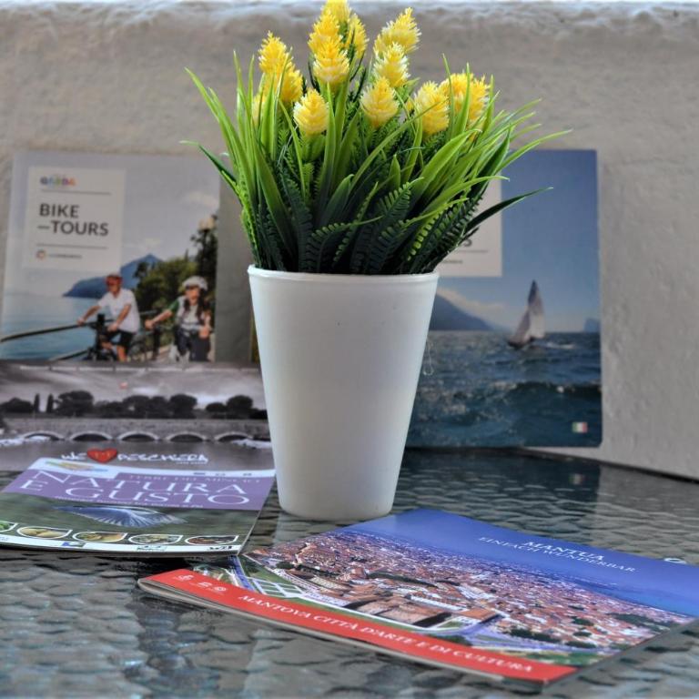 Mattia's House on Garda Lake - Appartamento con 2 Camere da Letto - 8