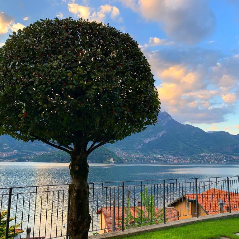 Residence Molinari Lake Como - Appartamento con 2 Camere da Letto e Vista Lago - 6