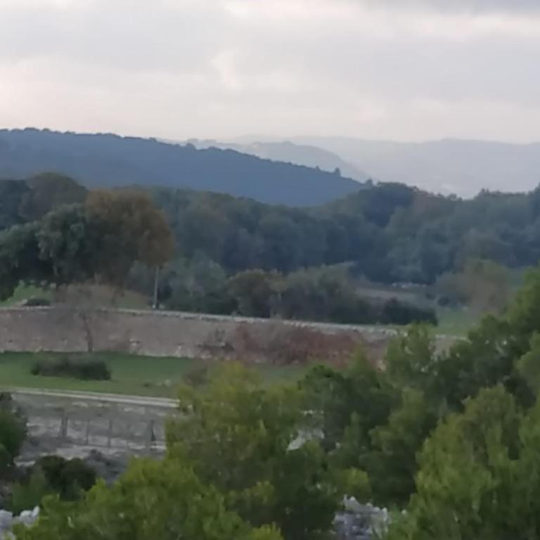 TRULLI CONTI Grande spazio alberato incontaminato- prenotazione esclusiva - Casa Vacanze - 20