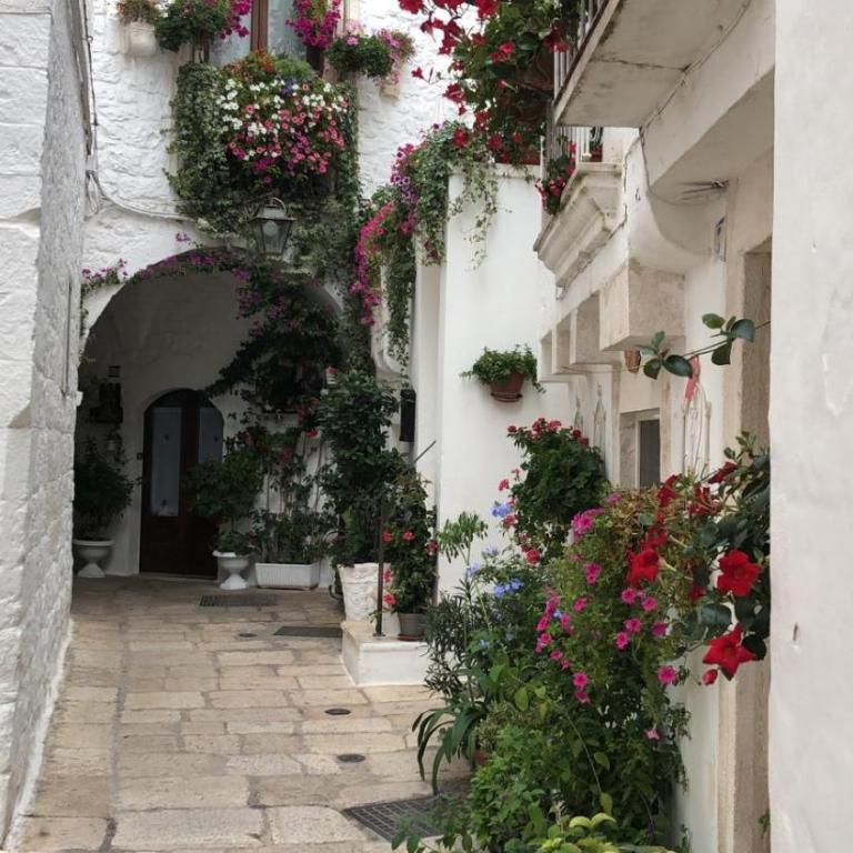 TRULLI CONTI Grande spazio alberato incontaminato- prenotazione esclusiva - Casa Vacanze - 49