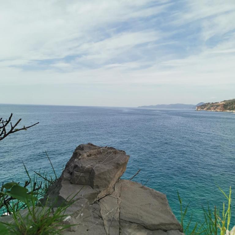 Guest House Radulovic - Vacation Home - 5
