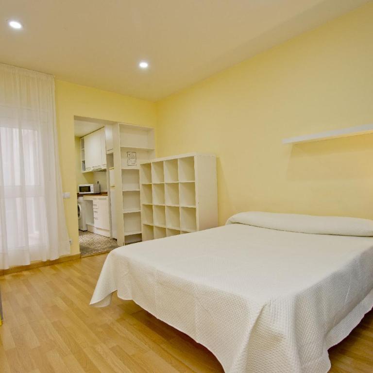 Barcelona City Apartment - Standard Apartment - 100