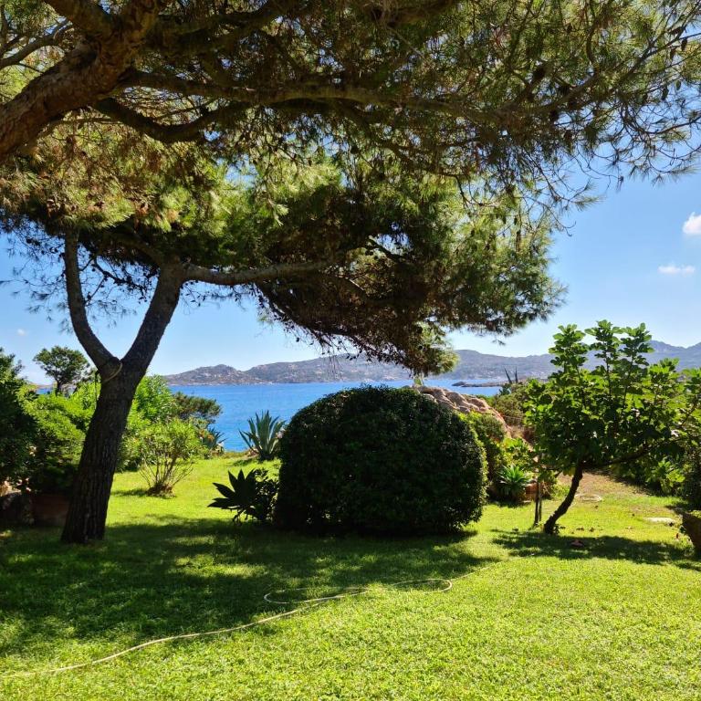 Giulianahouse - Appartamento - 9