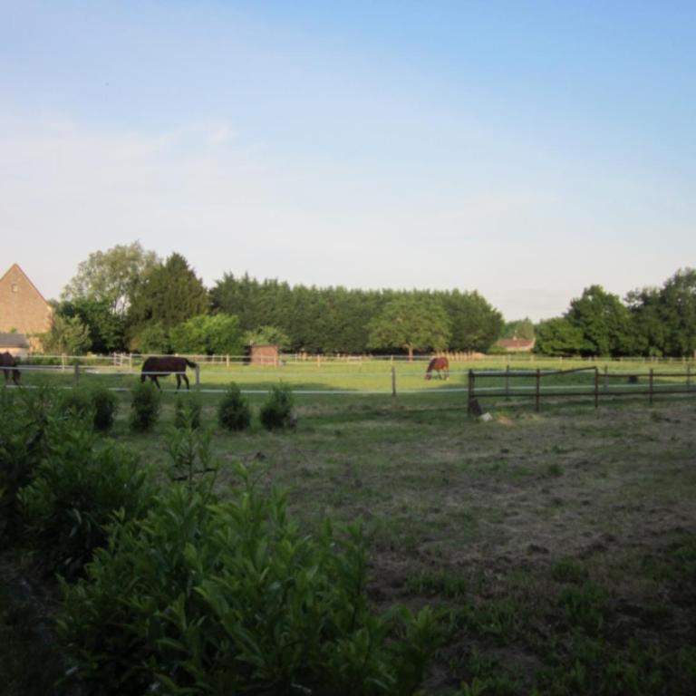 La Vallière en Vue - gîte climatisé - Casa Vacanze - 55