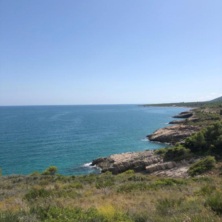Apartamento Solmar - Apartamento de 2 dormitorios - 40