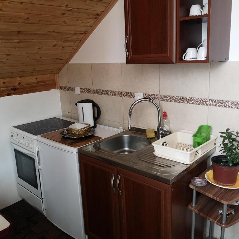 Apartmani Žubor - Apartman sa 1 Spavaćom Sobom - 9