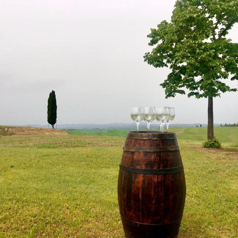 Podere il Granaio - Crete Senesi - Tuscany - Casa Vacanze - 53