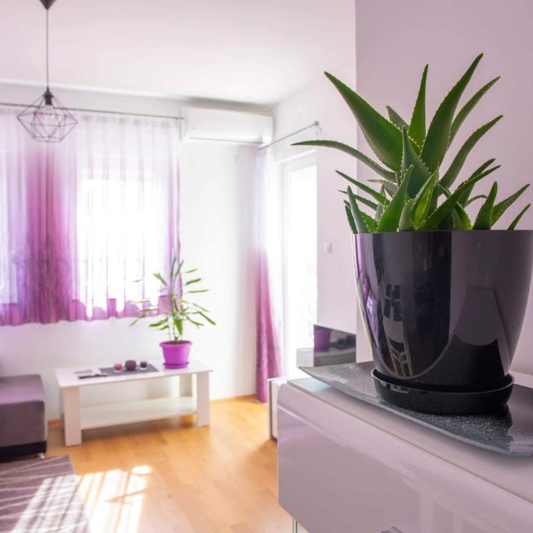 Apartment Helena - Apartman sa 1 Spavaćom Sobom - 7