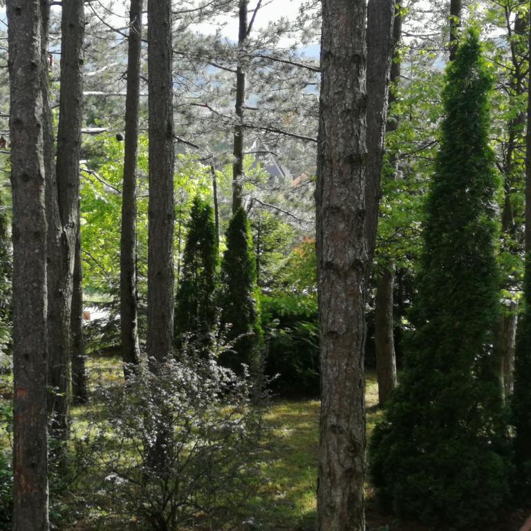 Vila Vera - Kuća sa 3 Spavaće Sobe - 11