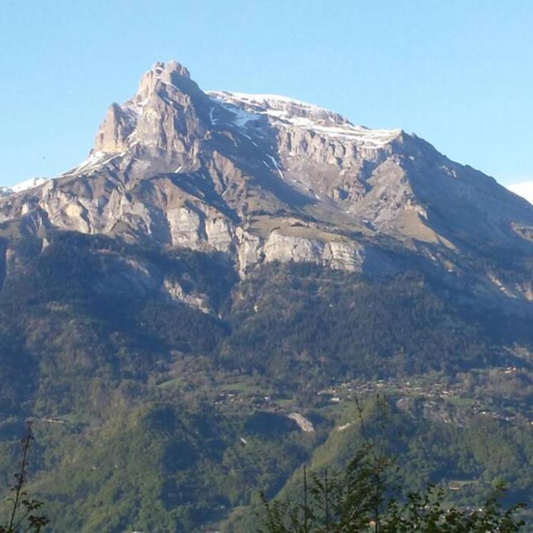 Appart en rez de jardin clos face au Mont BLANC - Appartement 2 Chambres - 8