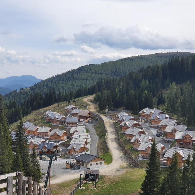 Almhütte Lachtal - Apartment mit 3 Schlafzimmern - 55