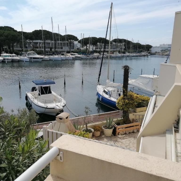 Marina Port Camargue - Appartement - 3