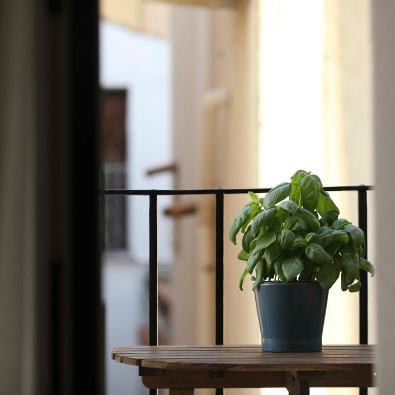 Turna Apartment - One-Bedroom Apartment - 3