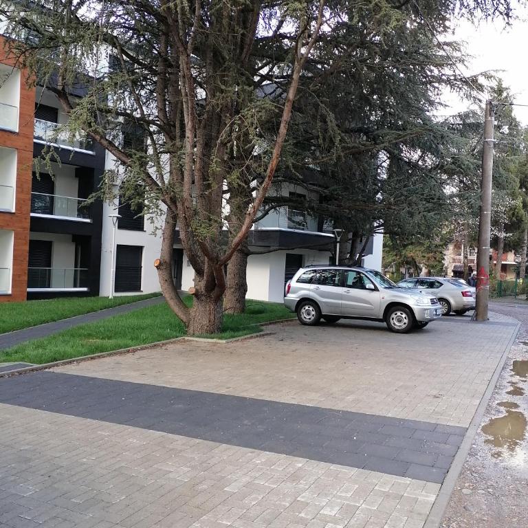 Ramonda Lux apartman - One-Bedroom Apartment - 3