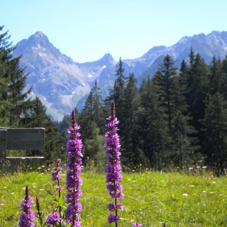 Hotel Garni Brigitte - Single Room - 9
