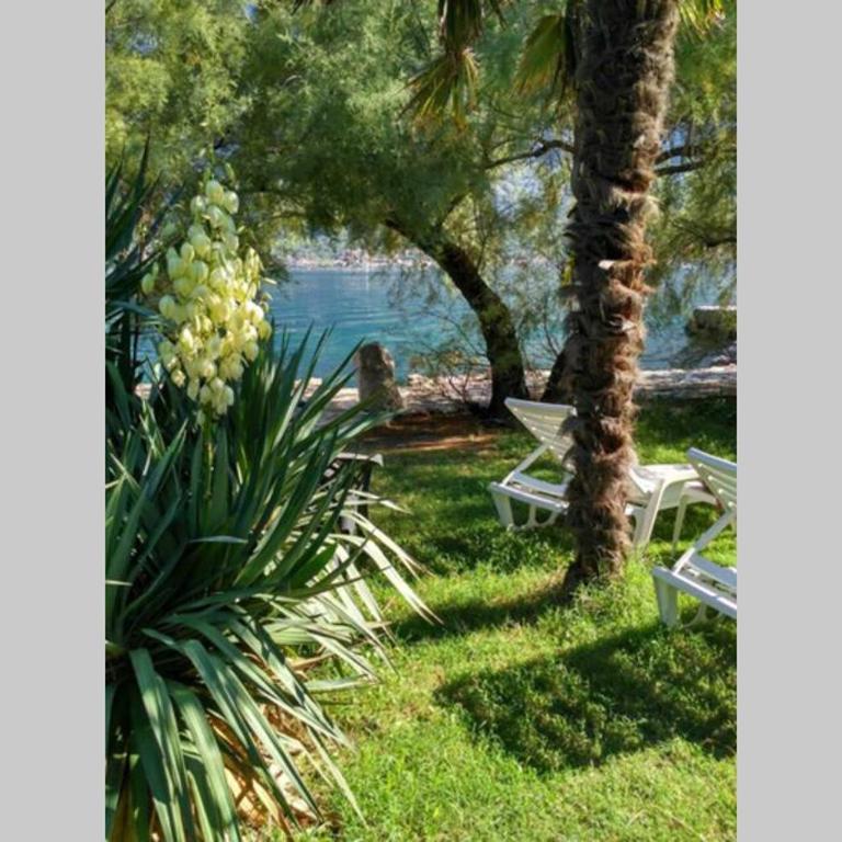 Apartment Pinebreeze - Prčanj - Kotor - Apartment - Ground Floor - 28