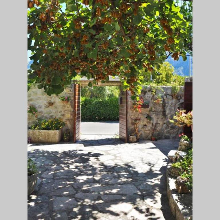 Apartment Pinebreeze - Prčanj - Kotor - Apartment - Ground Floor - 21