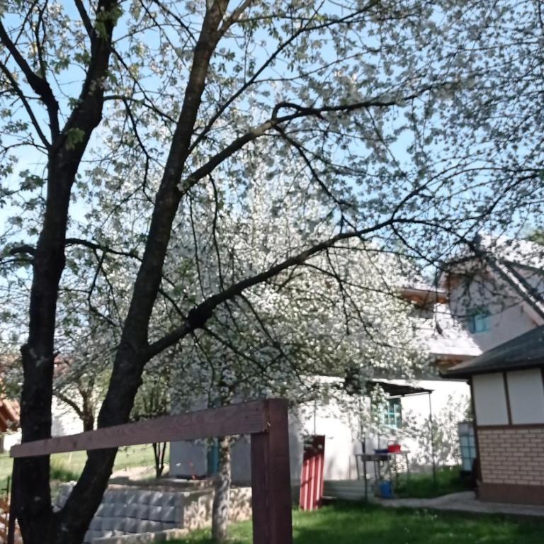 Ravne Apartman 2 - Apartman sa 1 Spavaćom Sobom - 16