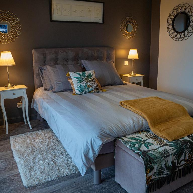 Le Rez de Jardin Albi - Chambre Double Supérieure - 9