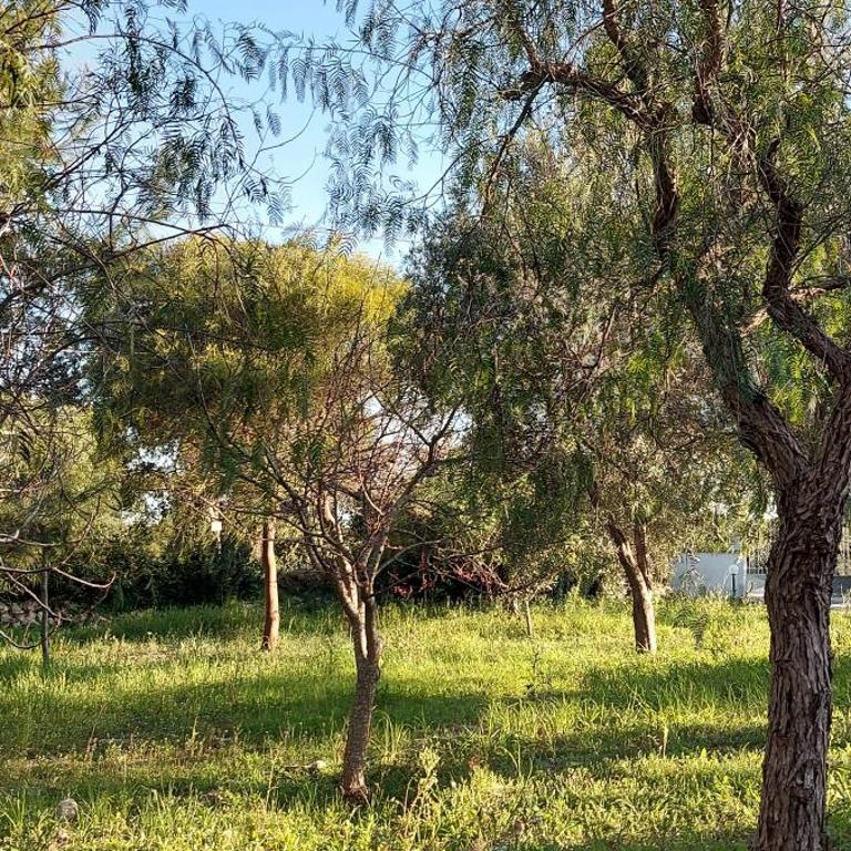 Villa Raffaella - Casa con 2 Camere da Letto - 22