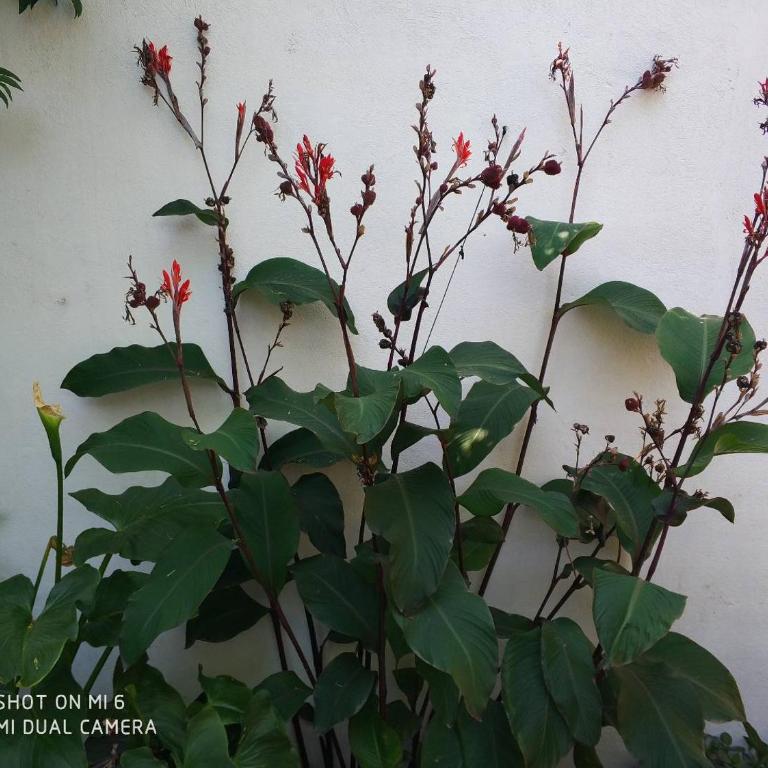 Apartment Alacas Sevilla - Apartamento de 1 dormitorio (2 adultos) - 25