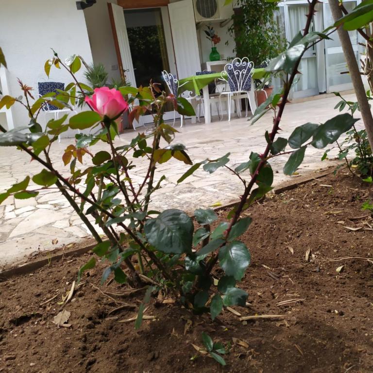 Casa dei sospiri - Appartamento con 2 Camere da Letto - 55