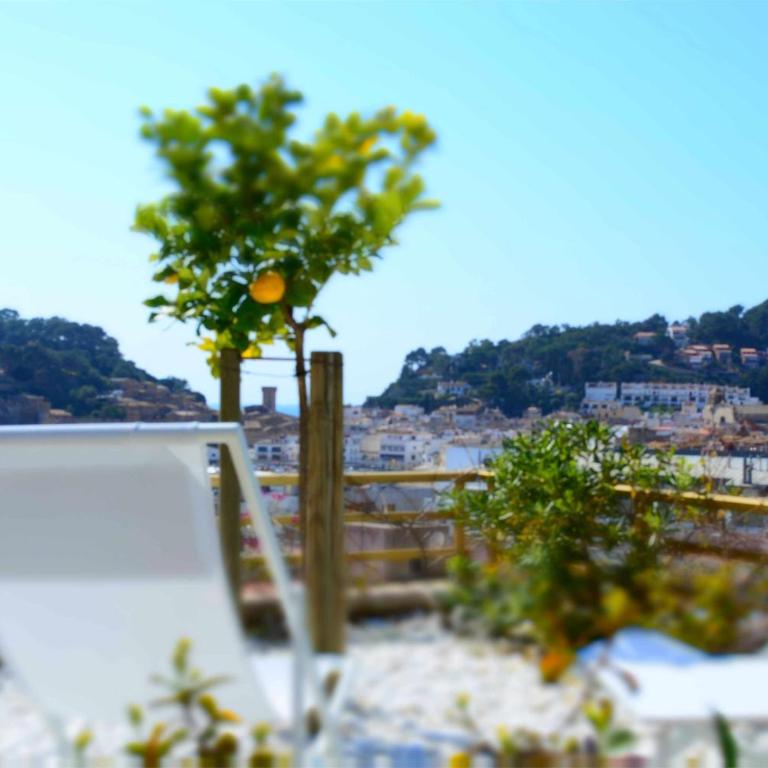 Terrassa 1 – Gran Terraza, Vistas y Parking - Apartamento con terraza - 10