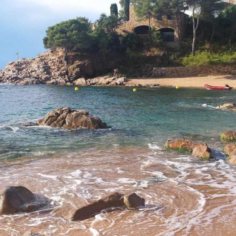 Cala Salionç 12 – 1ª Línea de Mar con A/A - Apartamento con vistas al mar - 5