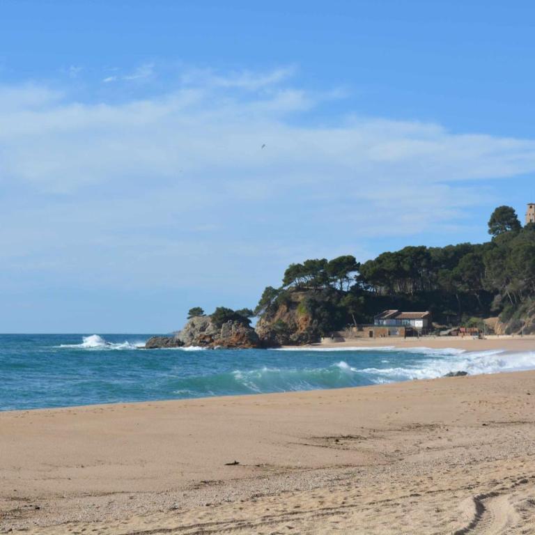 Las Antillas Piscina y Terraza Playa Fenals 4pax - Apartamento - 27
