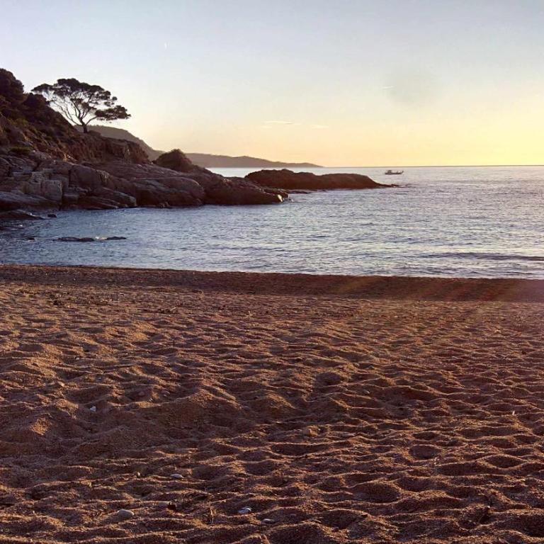 Carabela – Terraza y Vistas al Mar en Cala Salions - Apartamento con vistas al mar - 25