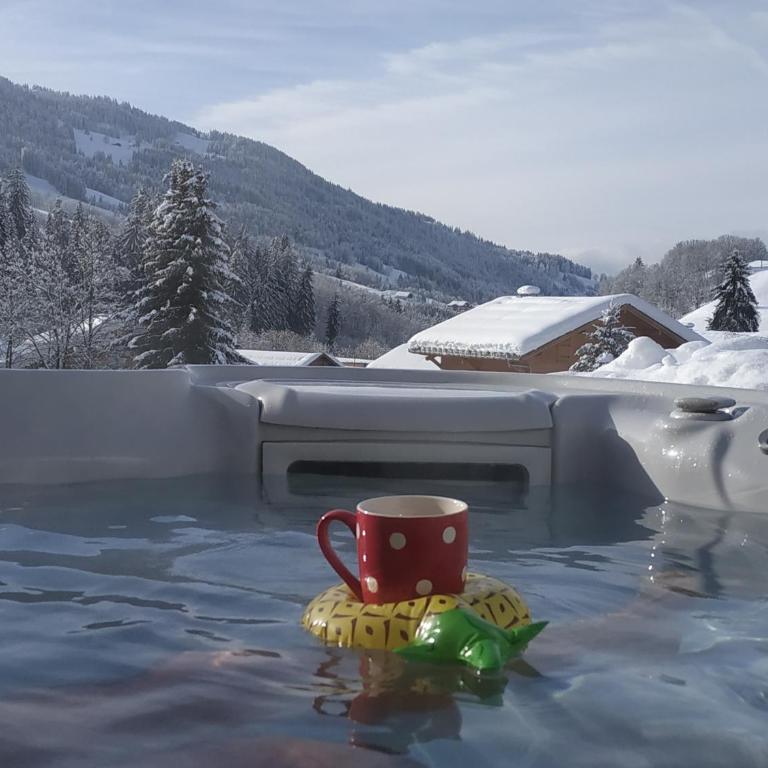 A4 km de Megève très joli studio avec jacuzzi ,vue sur les montagnes au calme - Studio - 20