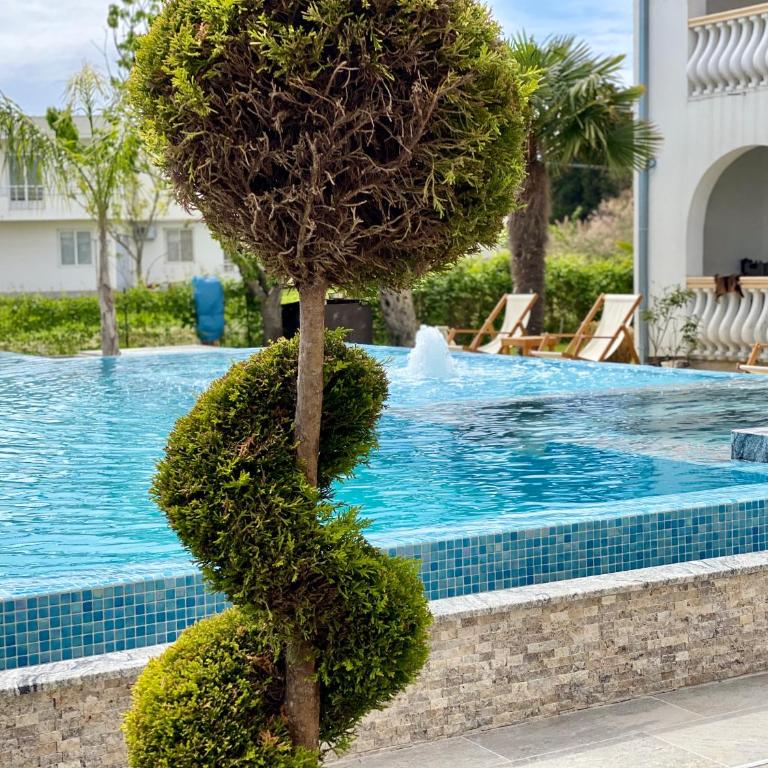 Blue Star Apartments - King Room with Pool View - 6