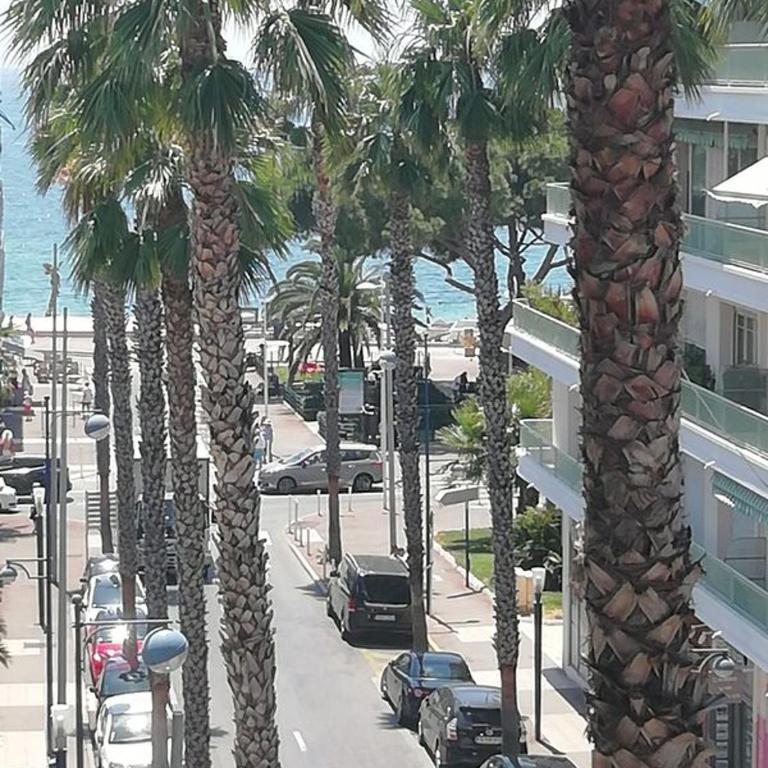 Centre Juan Les Pins - Studio - 1