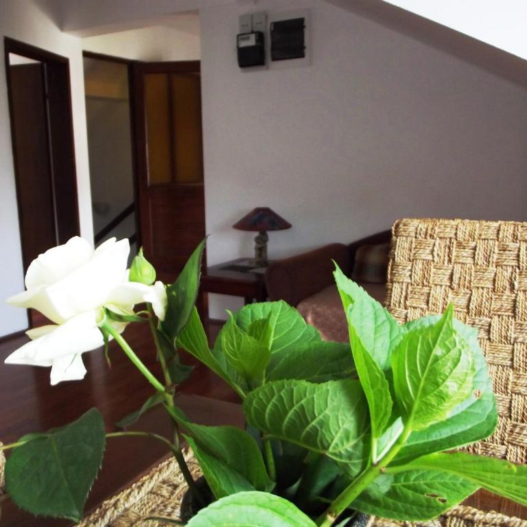 Apartments Budva Center - Komfor Apartman s 2 Spavaće Sobe i Balkonom - 4