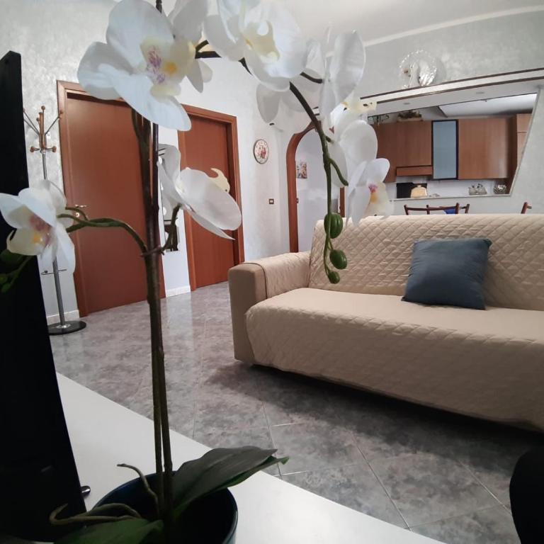 Casa Andrea tra Napoli e Sorrento - Appartamento - 5