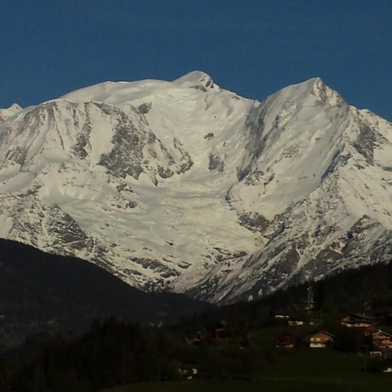Appart en rez de jardin clos face au Mont BLANC - Appartement 2 Chambres - 4