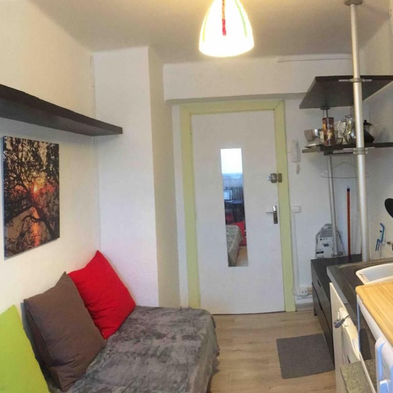 Studio COCONUT - One-Bedroom Apartment - 1