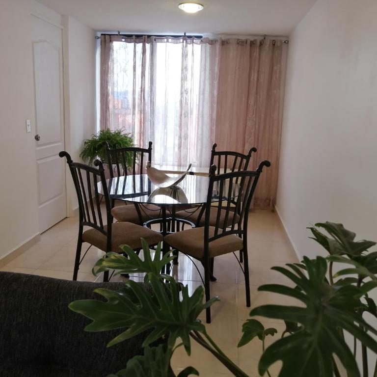 Departamento Alejandro - Completo y Amplio Departamento en una zona muy tranquila de la CDMX - Apartment - 7