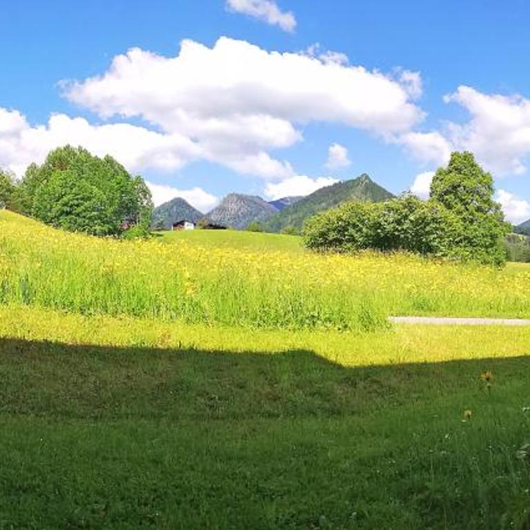 Ferienwohnung Beim Raffner, Bergblick, Natur, Ruhpolding - Studio-Apartment - 1