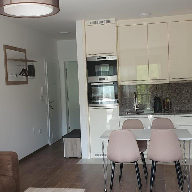 Apartman Bistrica - One-Bedroom Apartment - 9