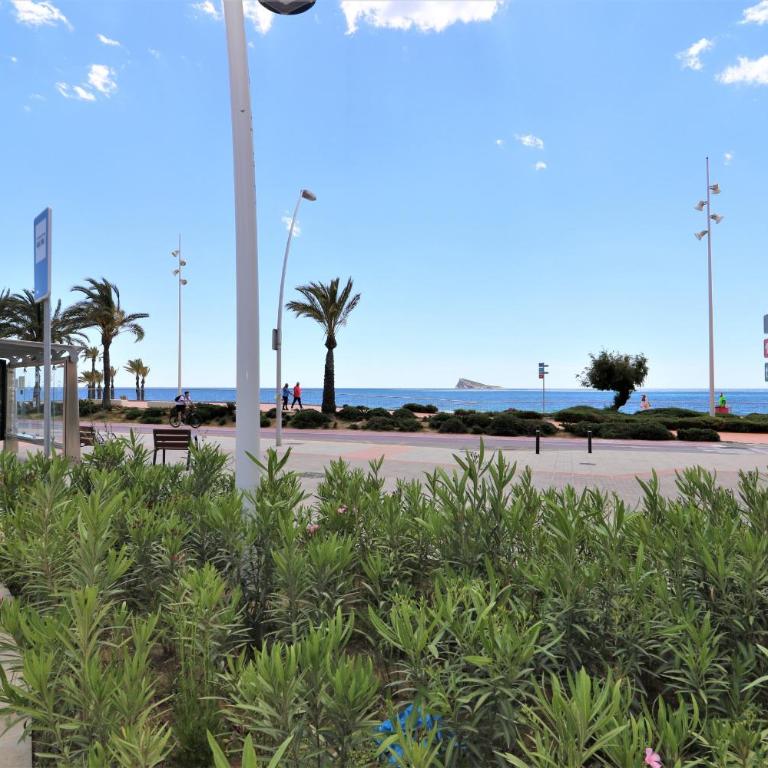 Sunset Waves 18-35 Poniente Beach Resort - Apartamento - 67