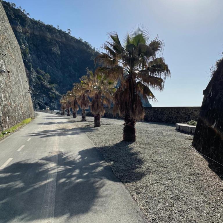 appartamento cielo&terra2 - Appartamento con 1 Camera da Letto - 33