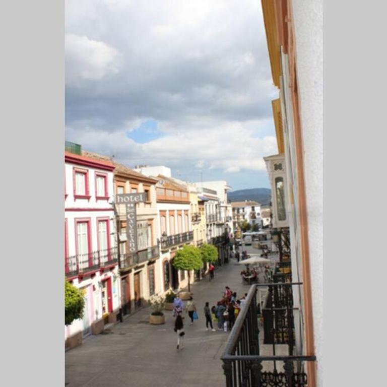 Apartamento centro Lorenzo Borrego - Apartamento de 3 dormitorios - 7