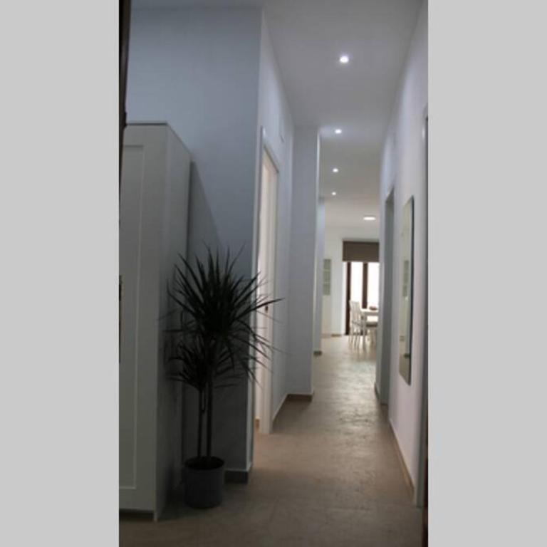 Apartamento centro Lorenzo Borrego - Apartamento de 3 dormitorios - 10