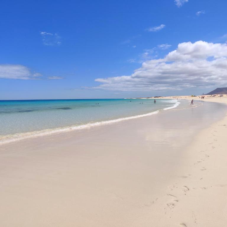 Corralejo Oasis Tamarindo Poppins Pool e Terrace - One-Bedroom Apartment - 53